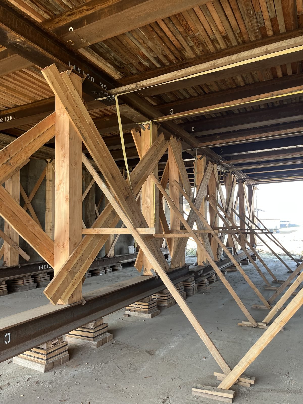 Timber falsework bents on steel beams supporting a cast-in-place bridge deck